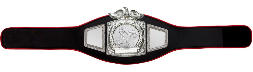 PROEAGLE KICKBOXING CHAMPIONSHIP BELT - PROEAGLE/S/KBOS - AVAILABLE IN 6+ COLOURS PROEAGLE KICKBOXING CHAMPIONSHIP BELT - PROEAGLE/S/KBOS - AVAILABLE IN 6+ COLOURS